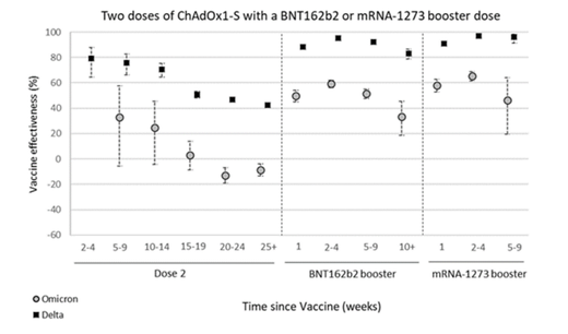 covid vaccine efficacy study