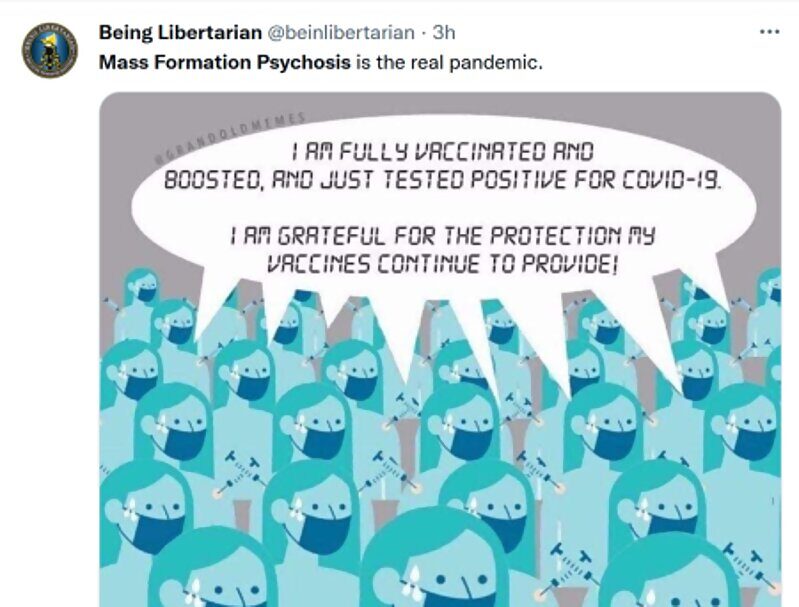 mass formation psychosis pandemic npc cartoon