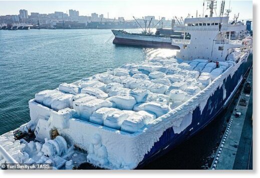 Frozen ship delivers ICE cars covered in ice.