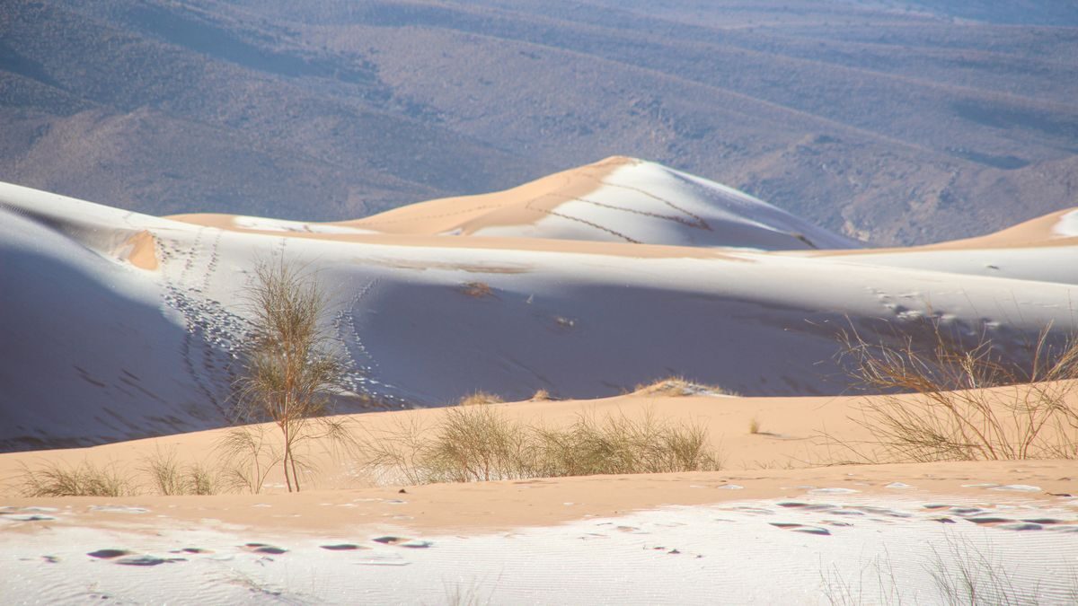Clic para aumentar The Sahara Desert is covered in snow