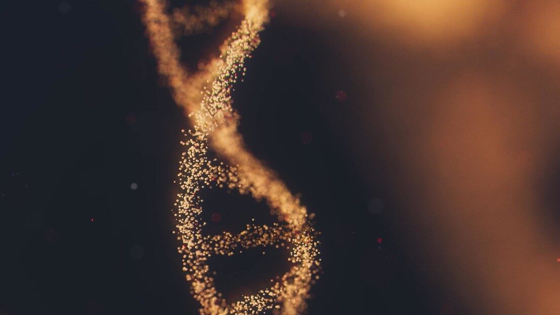 ADN DNA