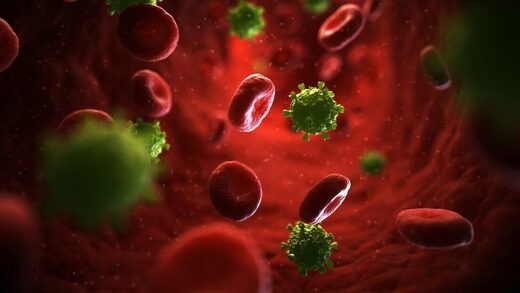 virus blood cells