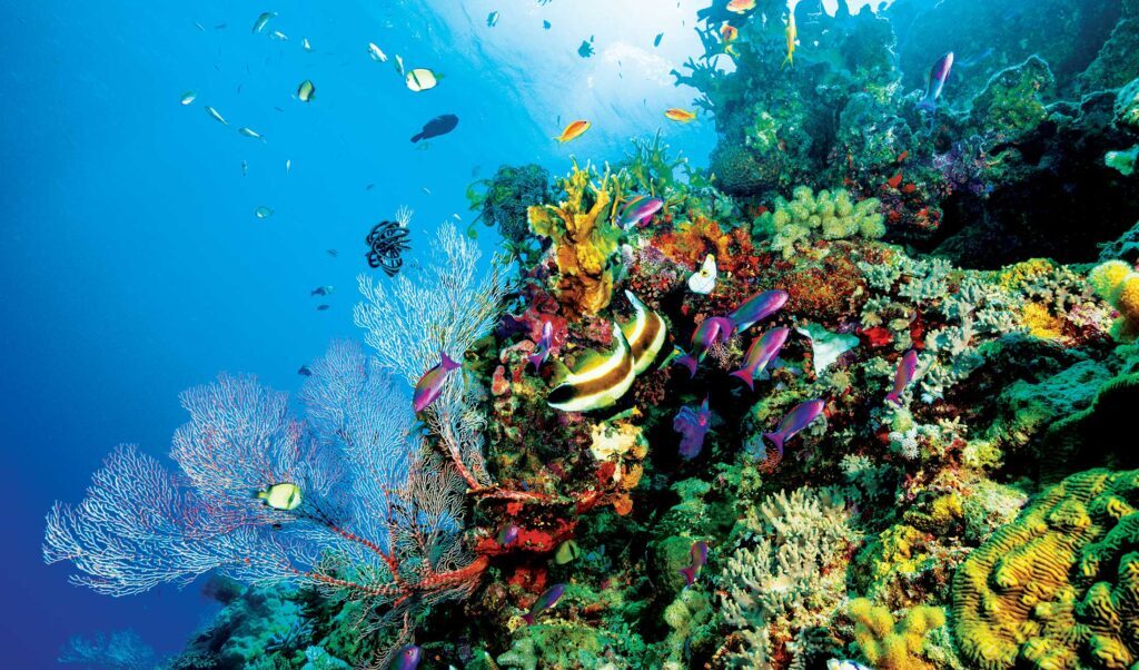 The Great Barrier Reef in Australia