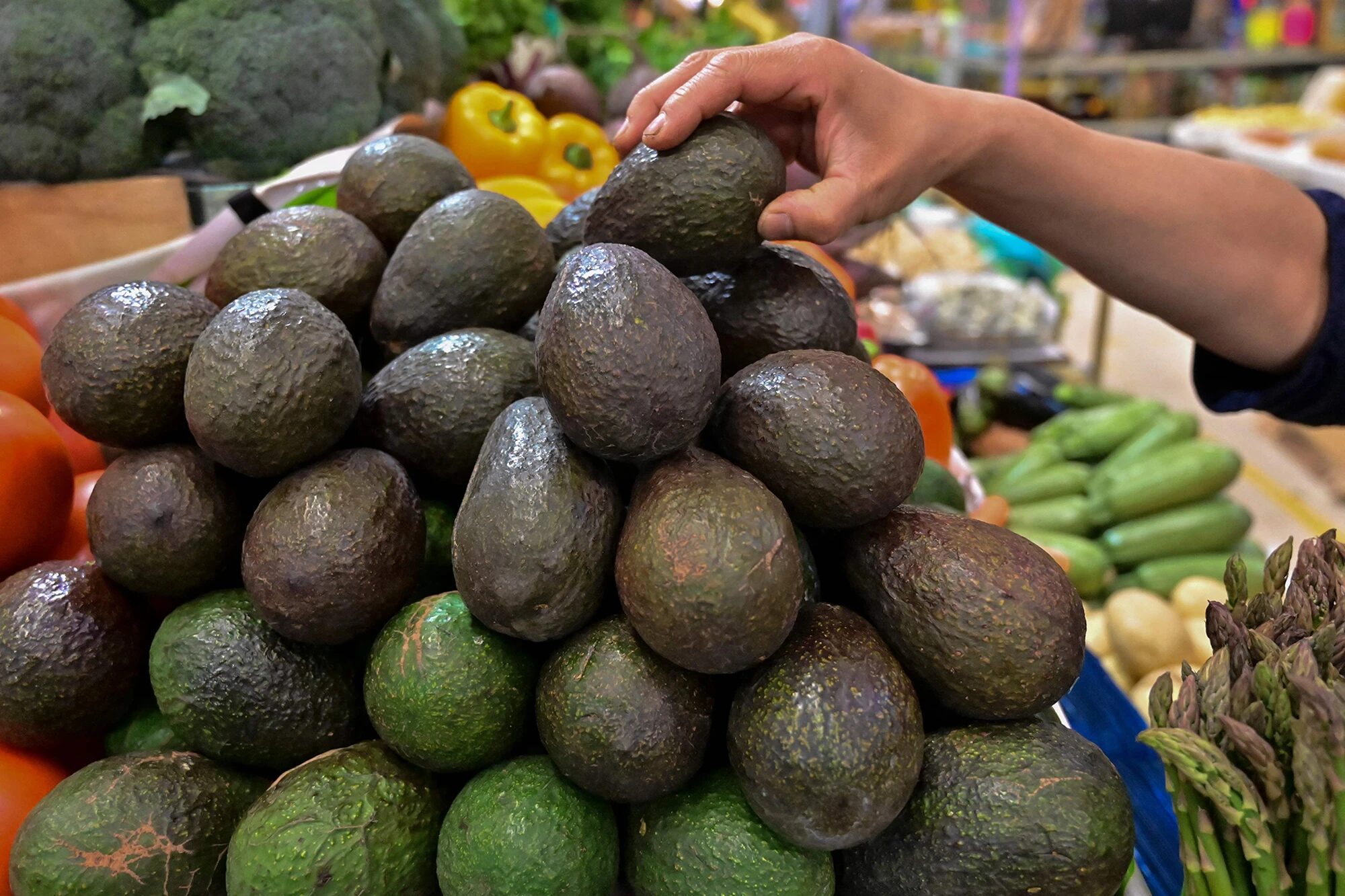 avocado
