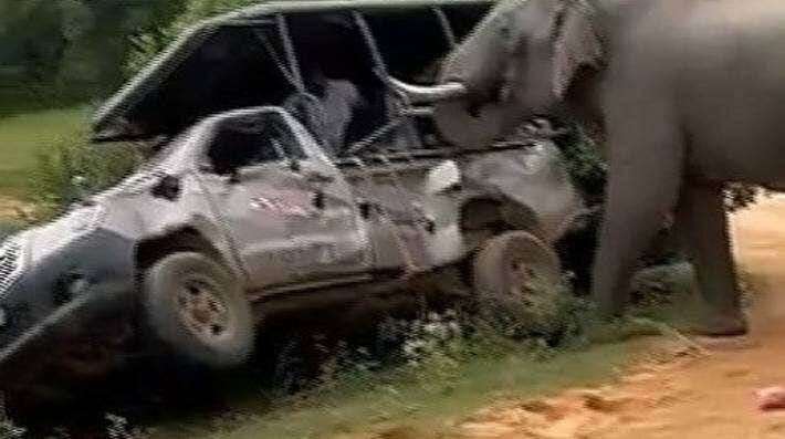 The elephant repeatedly rammed the vehicle.