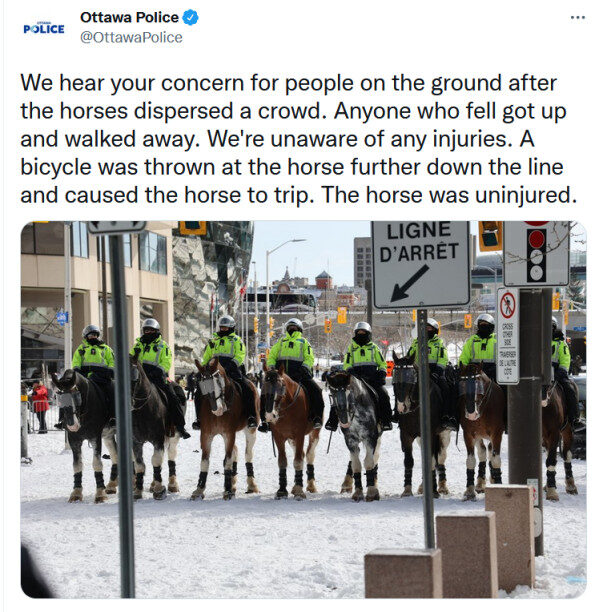Clic para aumentar canada trucker protest 4