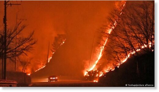 A major wildfire has devasted a large area on South Korea's eastern coast