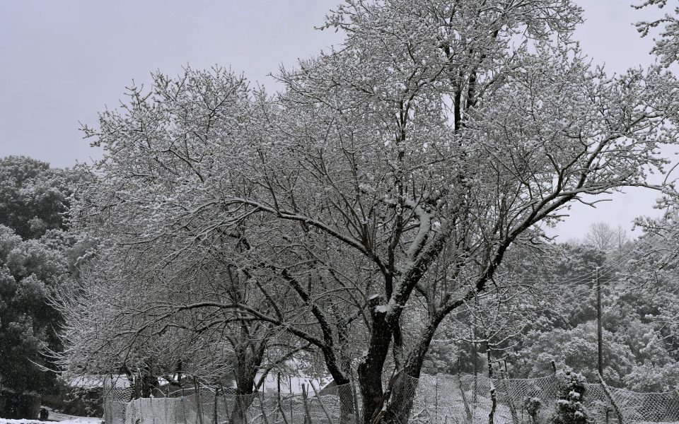 Snowfall near Ioannina, in Epirus, northwestern Greece.