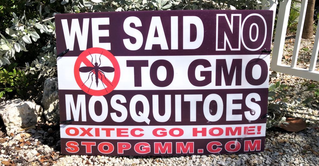 mosquitoes