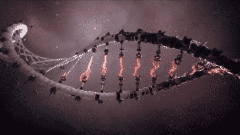 altered dna