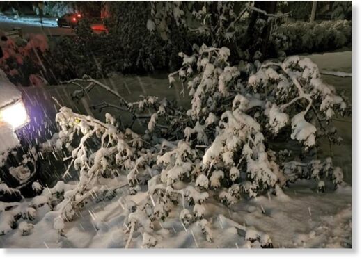 Colorado Springs area gets buried under heavy spring snow