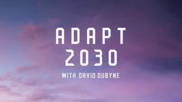 david