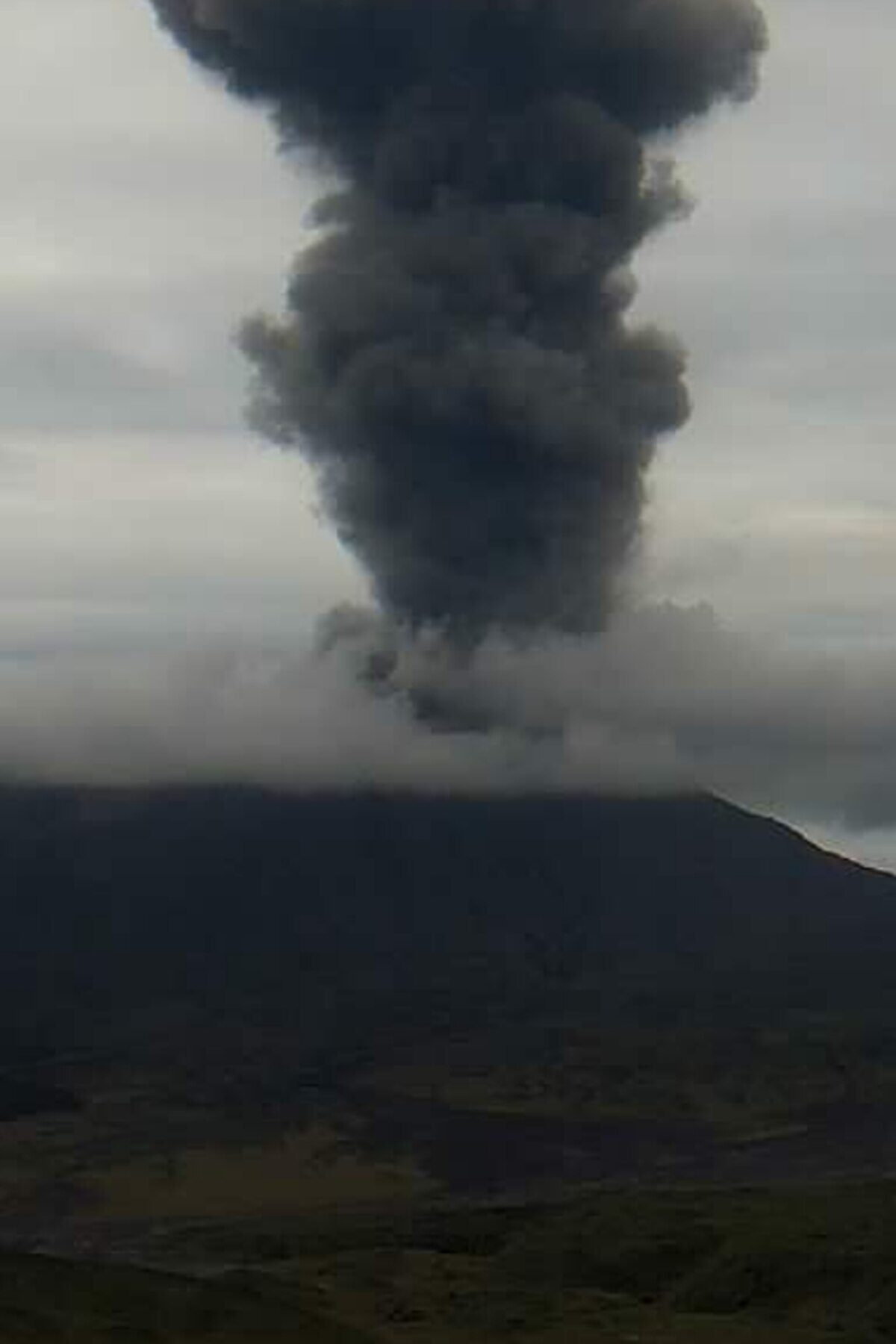 Ash plume from the North Cerberus crater at Semisopochnoi 9 minutes after the start of the eruption.