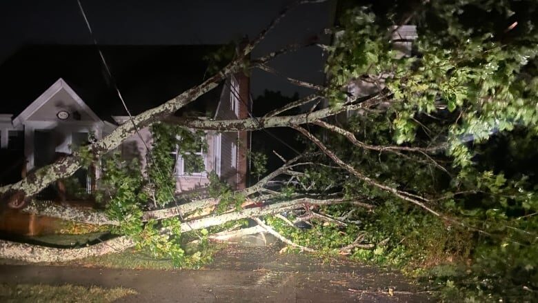 Hurricane Fiona arrived in Nova Scotia
