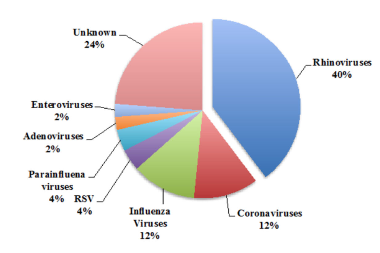 Circle chart