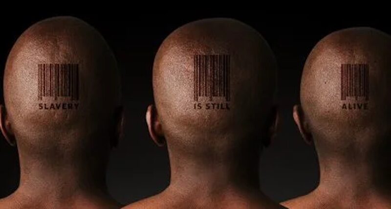 human barcode