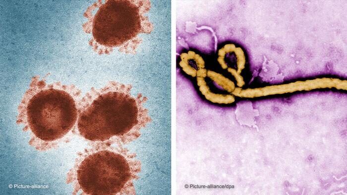 Ebola Covid