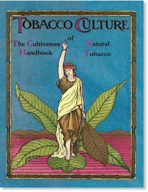 tobacco culture