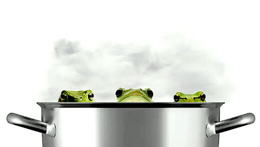 3 frogs