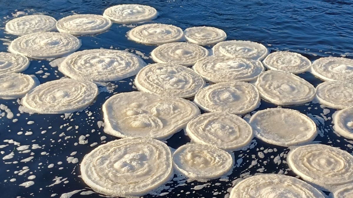 Unusual discs of frozen slush, known as