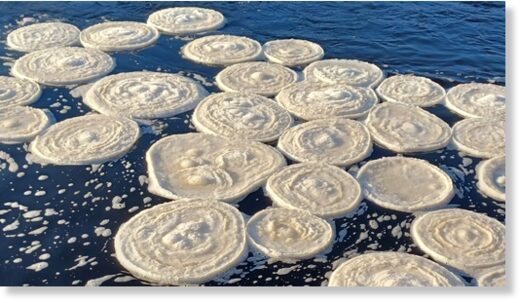 Unusual discs of frozen slush, known as