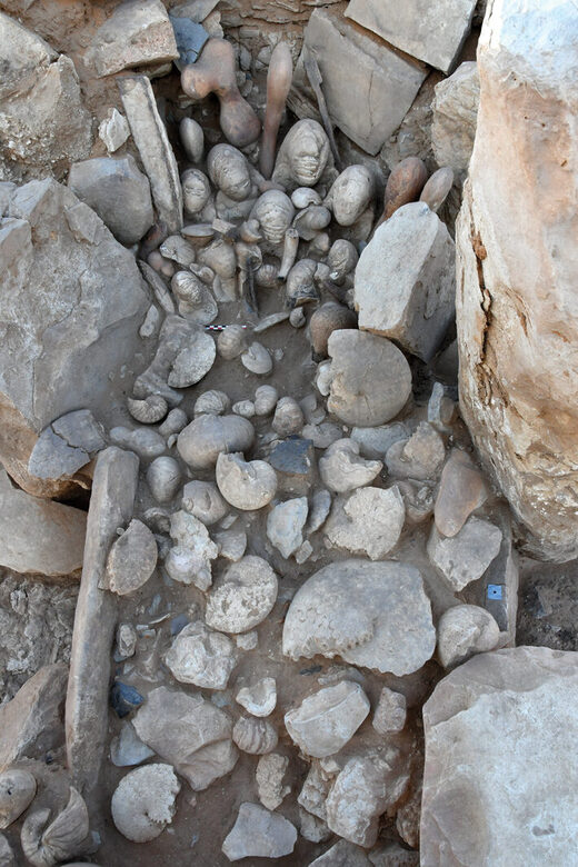 Marine fossils