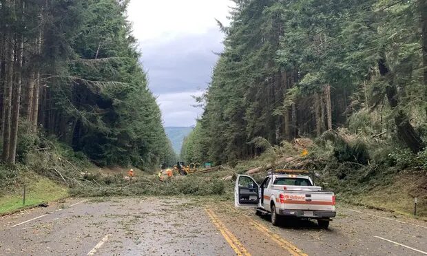 Fallen trees are seen on US Highway 101 in Humboldt county, California
