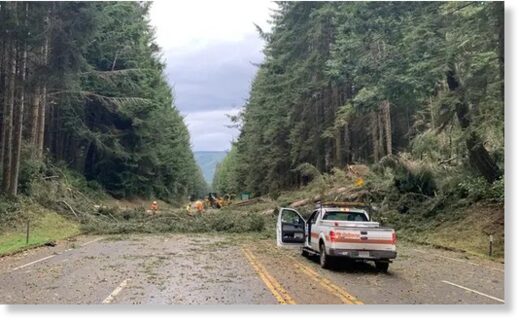 Fallen trees are seen on US Highway 101 in Humboldt county, California