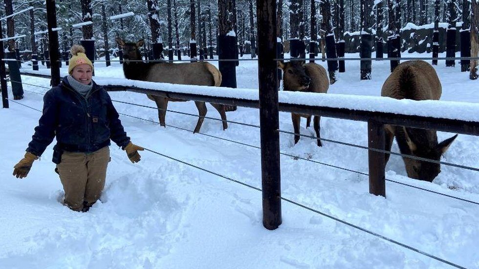 Bearizona keepers report that the park has received more than 28 inches of snow at the wildlife park!