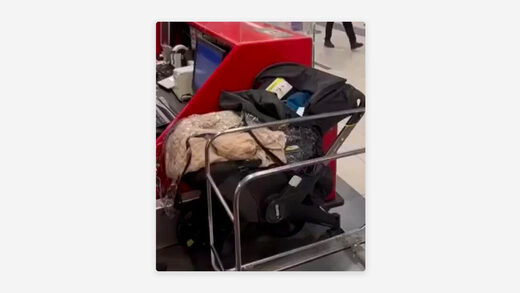 Baby left airport