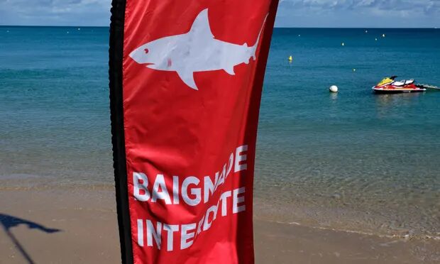 A shark warning sign in Nouméa, New Caledonia, where an Australian tourist was killed by a shark on Sunday.