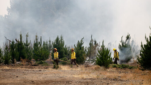 Incendios Chile