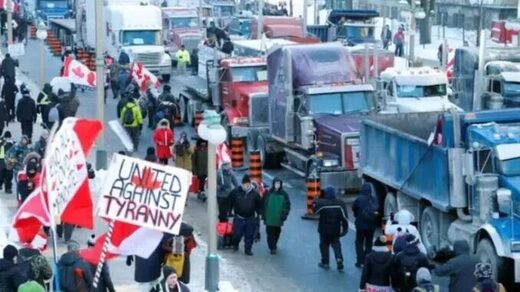 canada farmers support dutch farmer protests