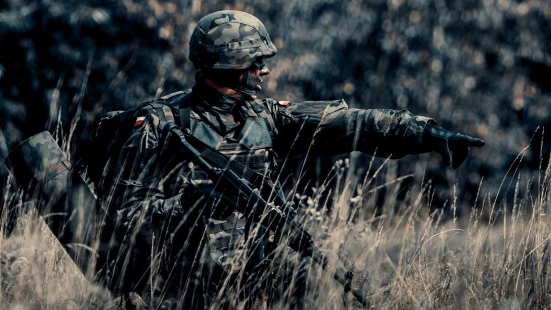 Polish army