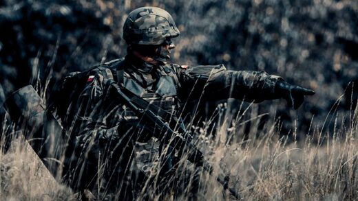 Polish army