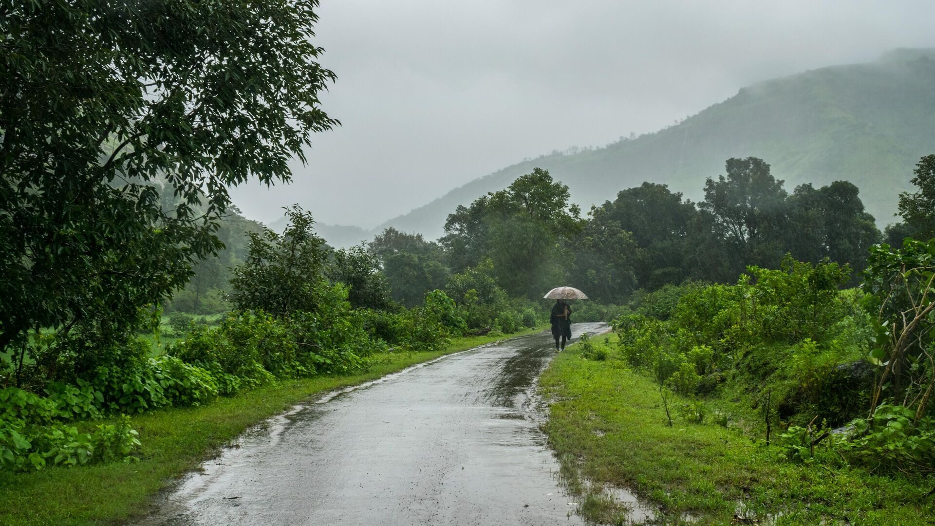 Lluvias
