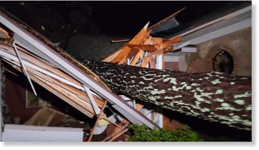 Clic para aumentar A tree is downed in a still from a WTVA video shot in Amory, Mississippi, as thunderstorms and a tornado swept through the state on Friday, March 24, 2023.