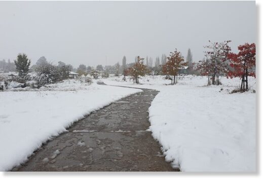 Clic para aumentar Snow borders a footpath in Nimmitabel, in the south-east NSW Monaro area.