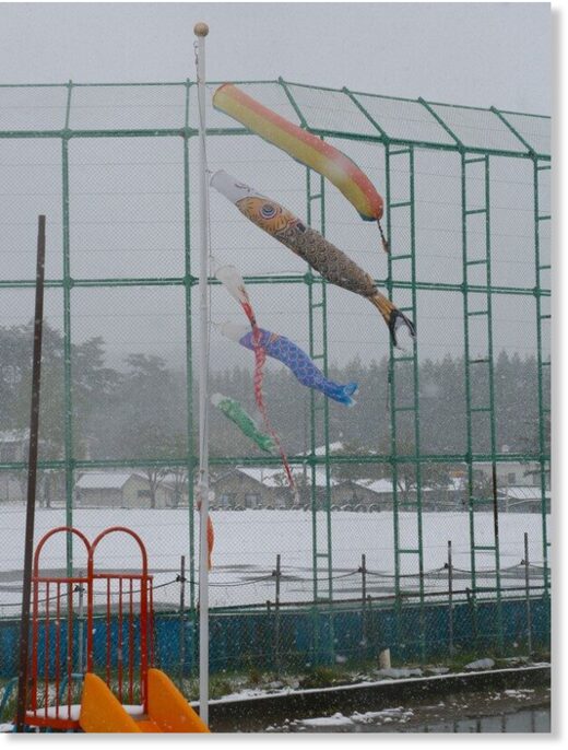 Carp streamers that were set up for Children's Day on May 5 are seen next to a field blanketed in snow in Ichinohe, Iwate Prefecture, on May 8, 2023.