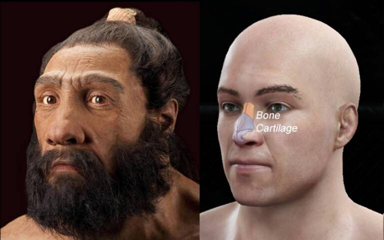 Neanderthal with that of a modern human