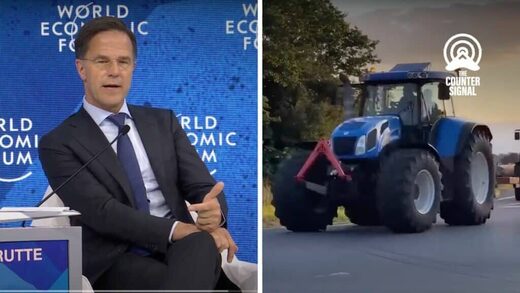 rutte dutch farmers WEF land seizures