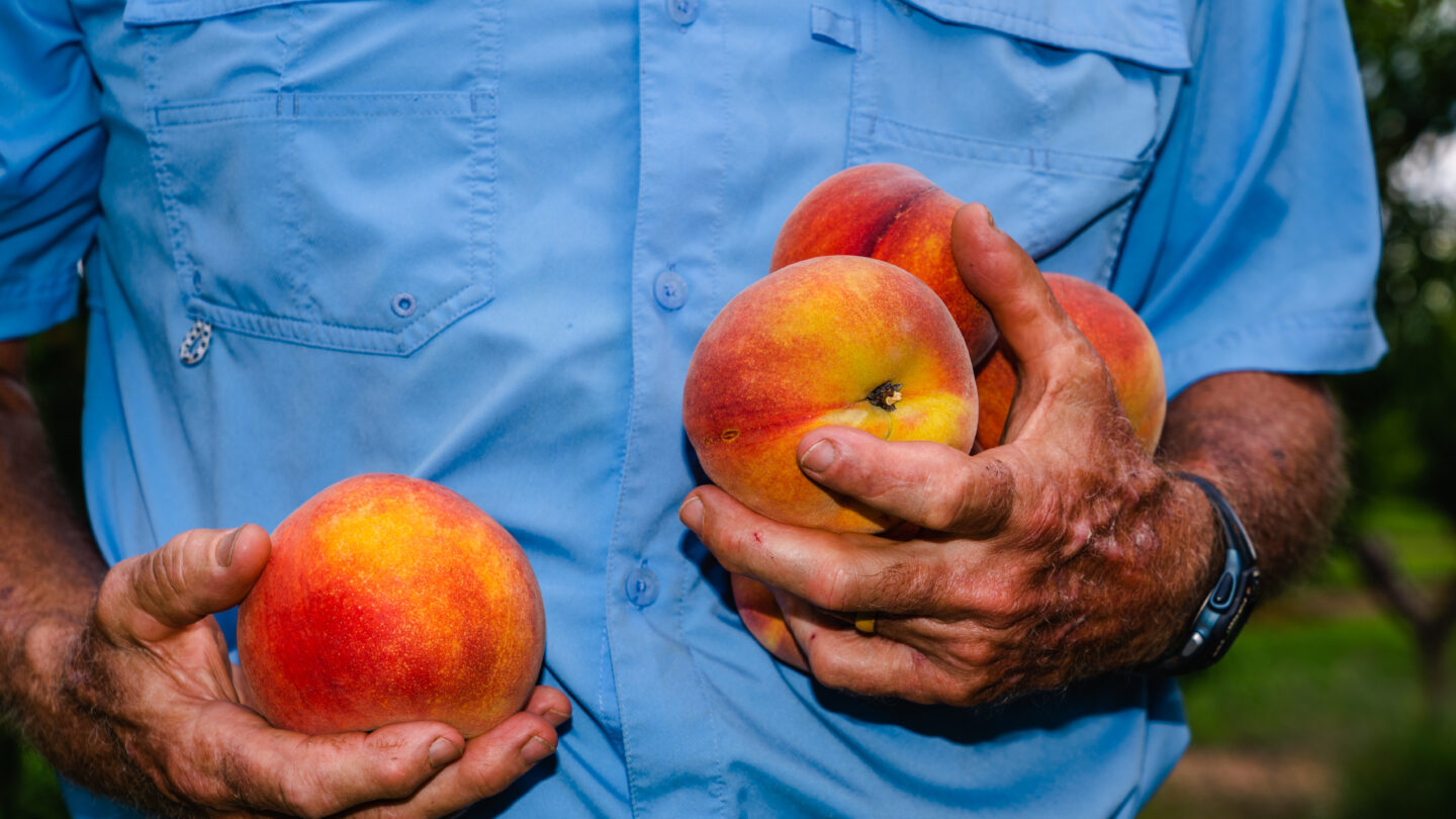 peaches