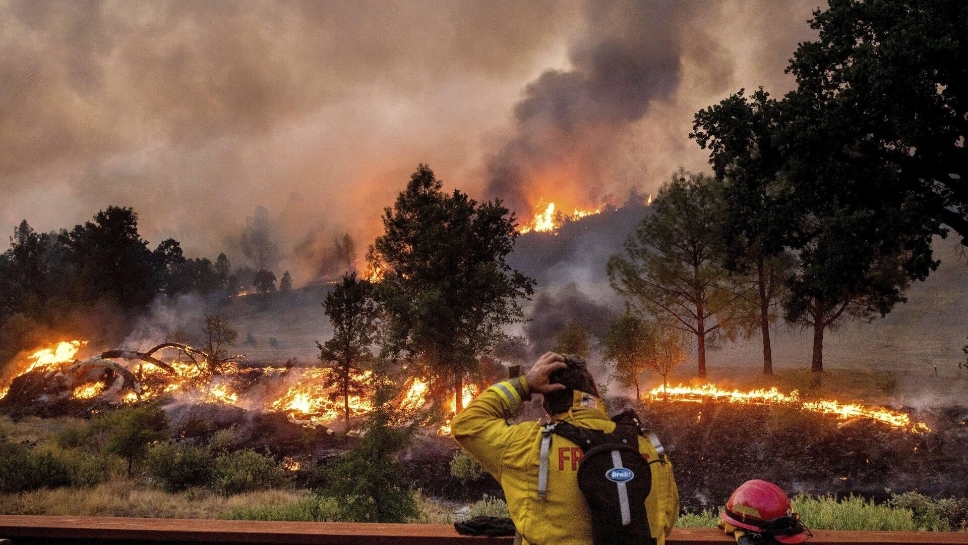 Forrest Fire