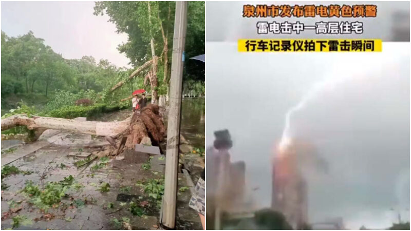 Left picture: On June 10, 2023, a big tree in Nanjing was uprooted by a strong wind. Right: On June 9th, a high-rise residential building in Quanzhou was struck by lightning.