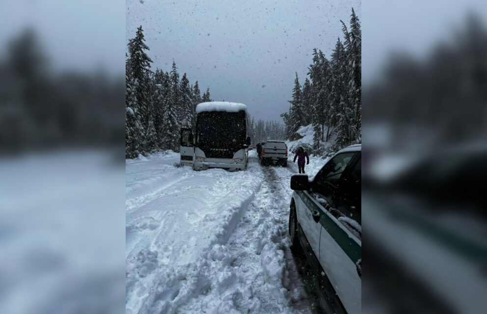Maligne Road by Jasper National Park covered in snow on Monday, June 19, 2023.