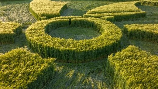 crop circle