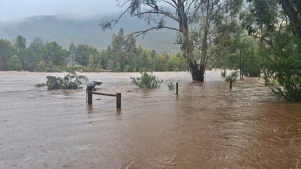 Flood warnings have been issued across the Gippsland regions, including in Bellbird Corner, Maffra, Mewburn Park, Newry, Riverslea, Tinamba and Tinamba West (pictured, the Macalister River at Licola)