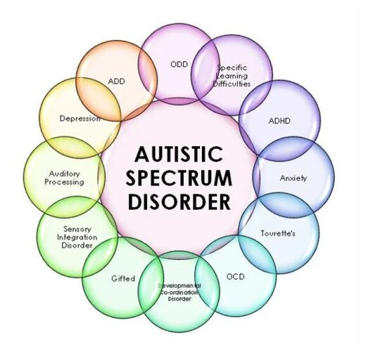 Autistic Spectrum
