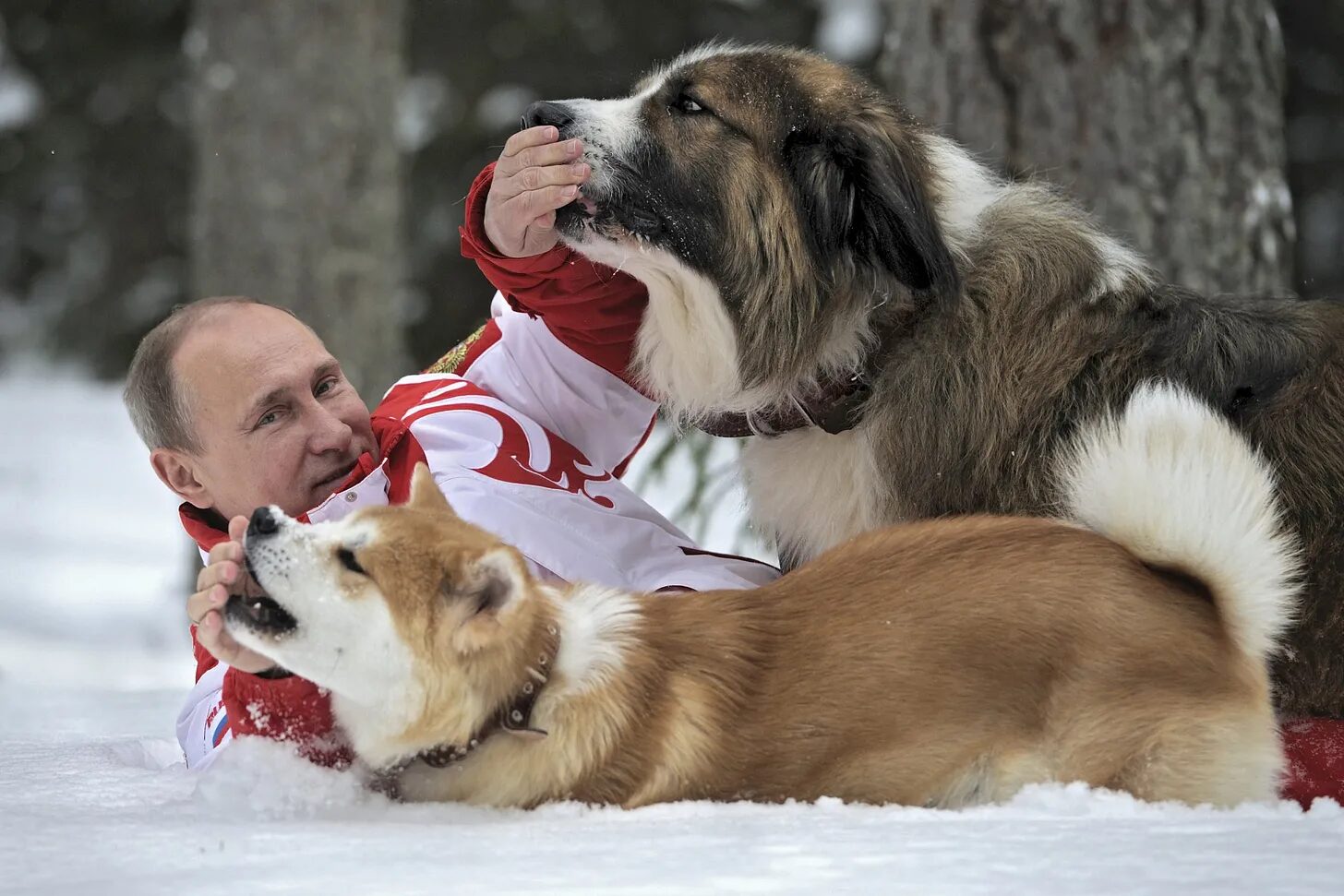 Putin and his Dogs