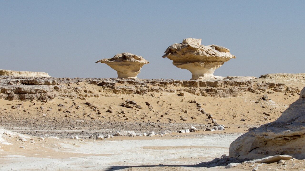 ardangs in Egypt